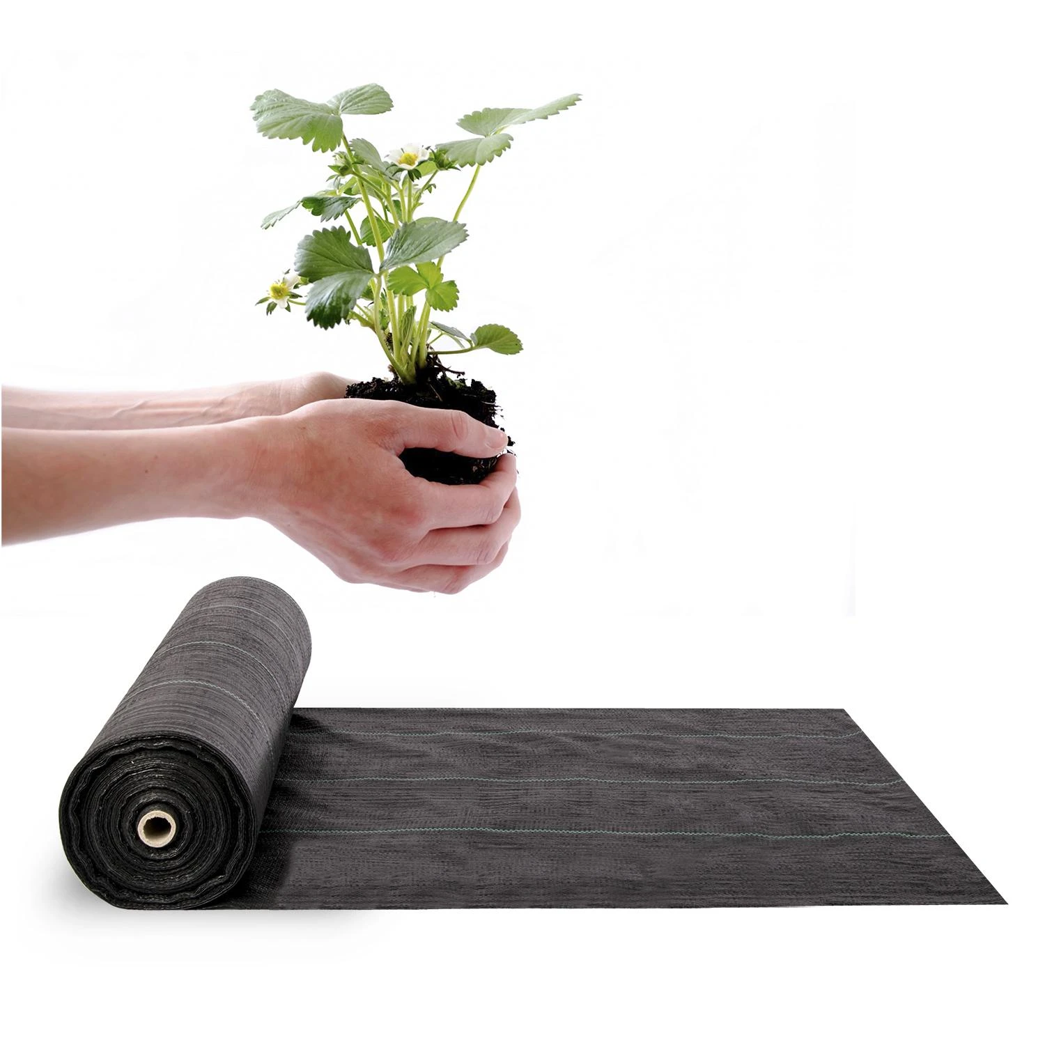 PLONOS Sodo agrotekstilė 70 g / m2 1,6 m x 100 m - juoda / + nemokami tvirtinimo elementai