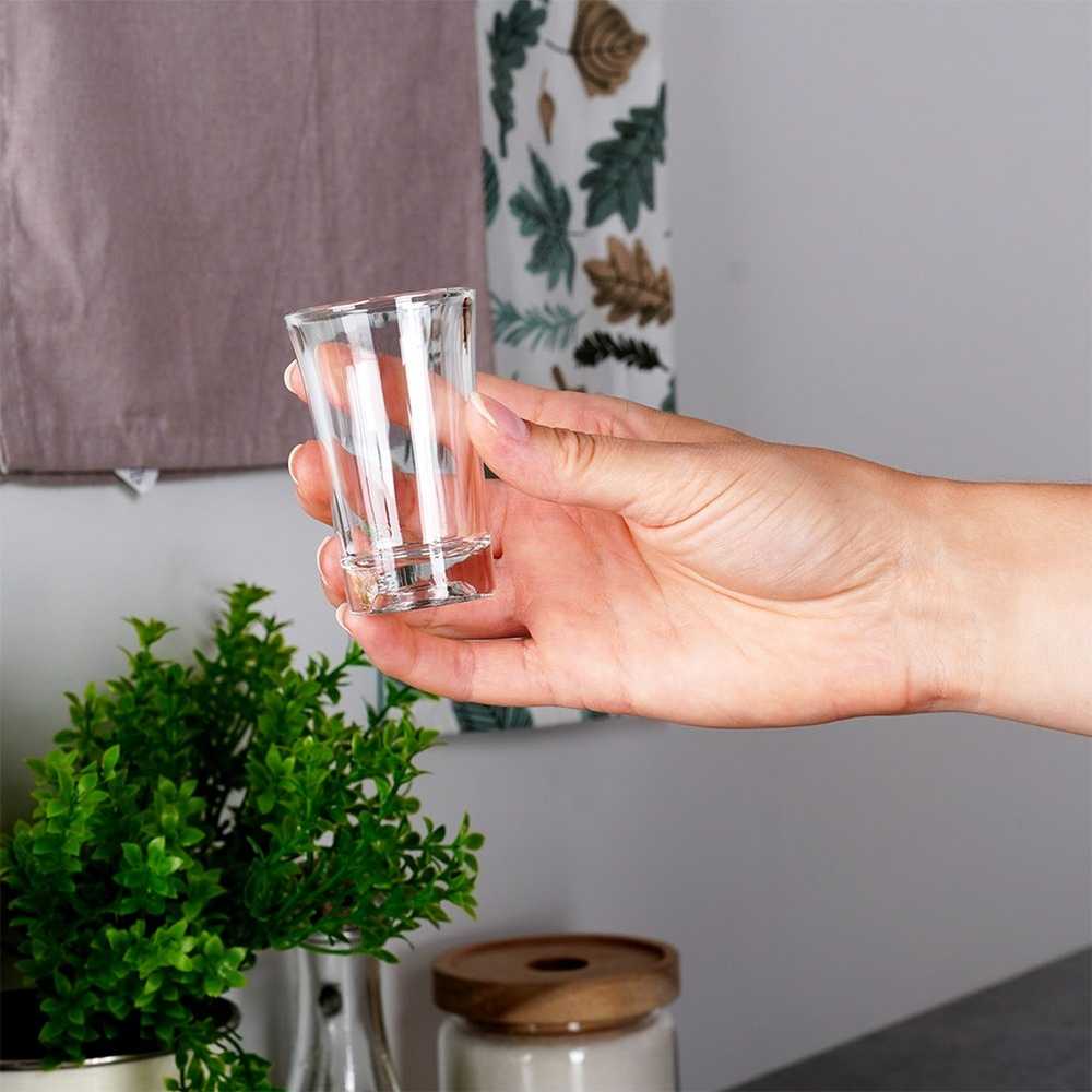 Galicja Stiklinės taurelės Vilde 40 ml, 6 vnt.
