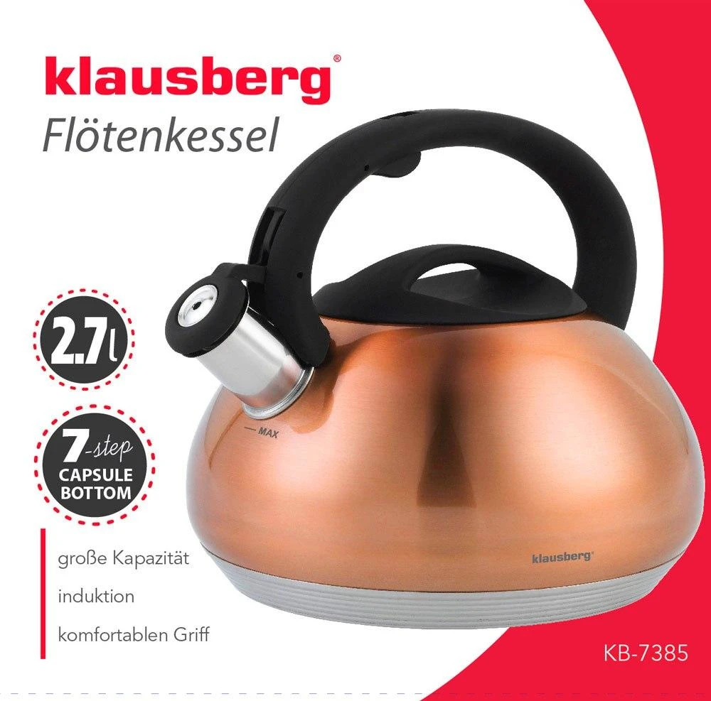 Vario spalvos metalinis virdulys 2,7 l su juoda rankena