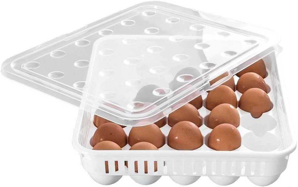 Orion Kiaušinių laikymo dėžutė 30 kiaušinių, BPA nemokama plastikas