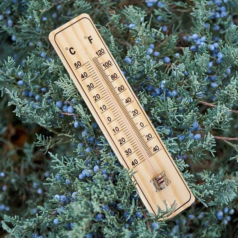 ProGarden Lauko termometras 22 cm - Aiškus matavimo diapazonas