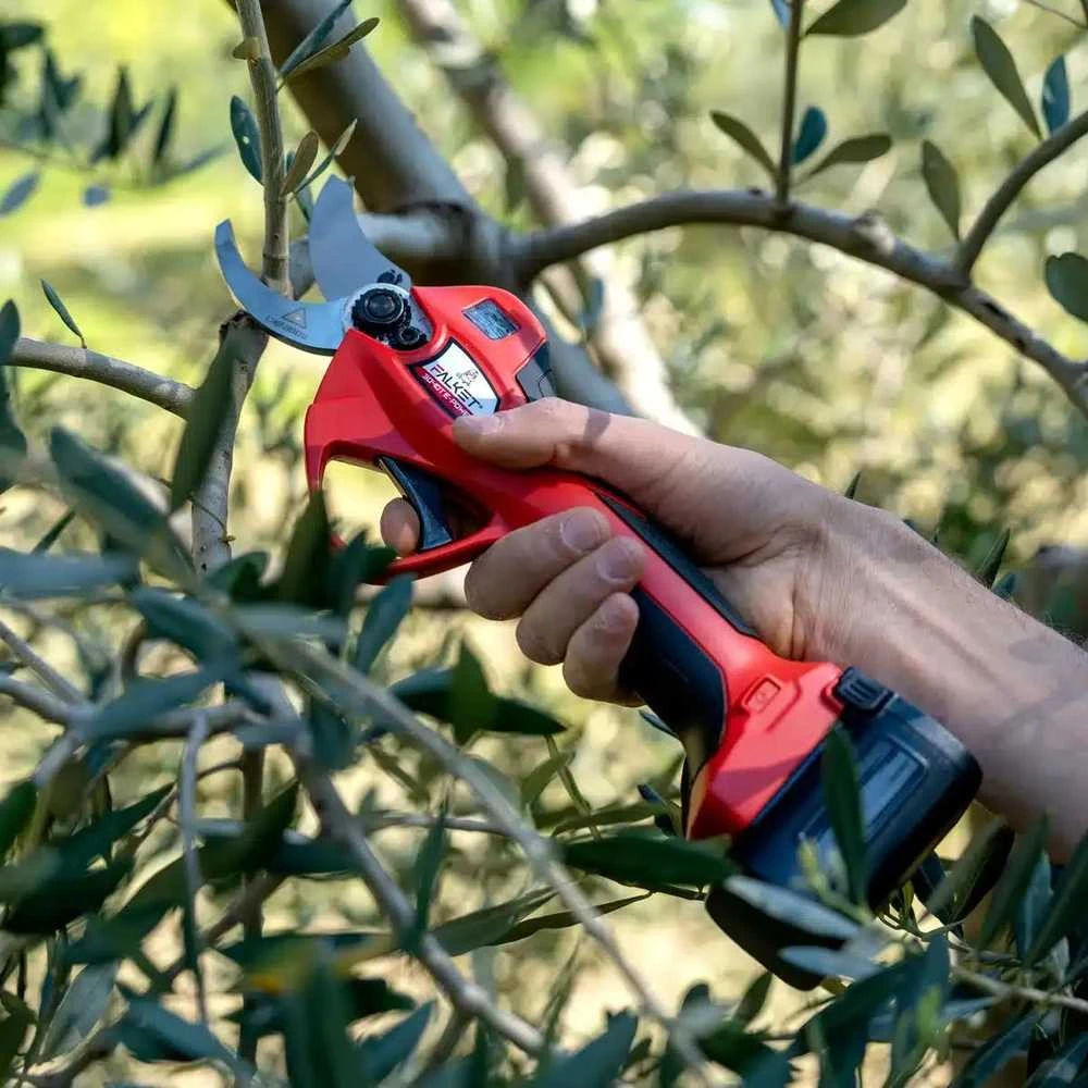 Akumuliatorinis sodo sekatorius FALKET 3040T E-Power
