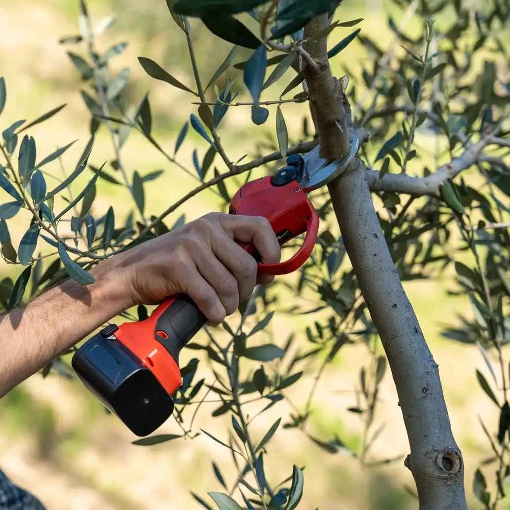 Akumuliatorinis sodo sekatorius FALKET 3040T E-Power