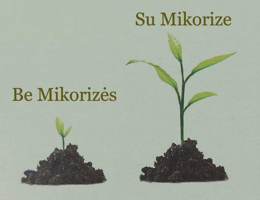 Bio-Organinės trąšos uogoms su Mikorize ir Neem'u, 1.75kg