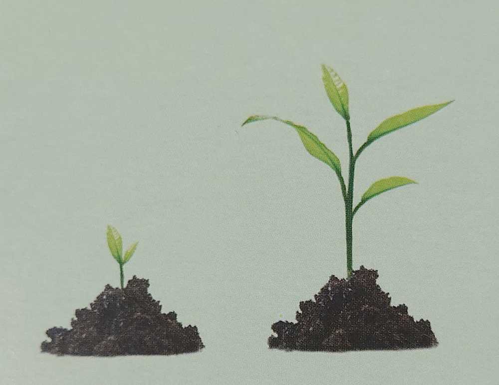 Bio-Organinės trąšos uogoms su Mikorize ir Neem'u, 1.75kg