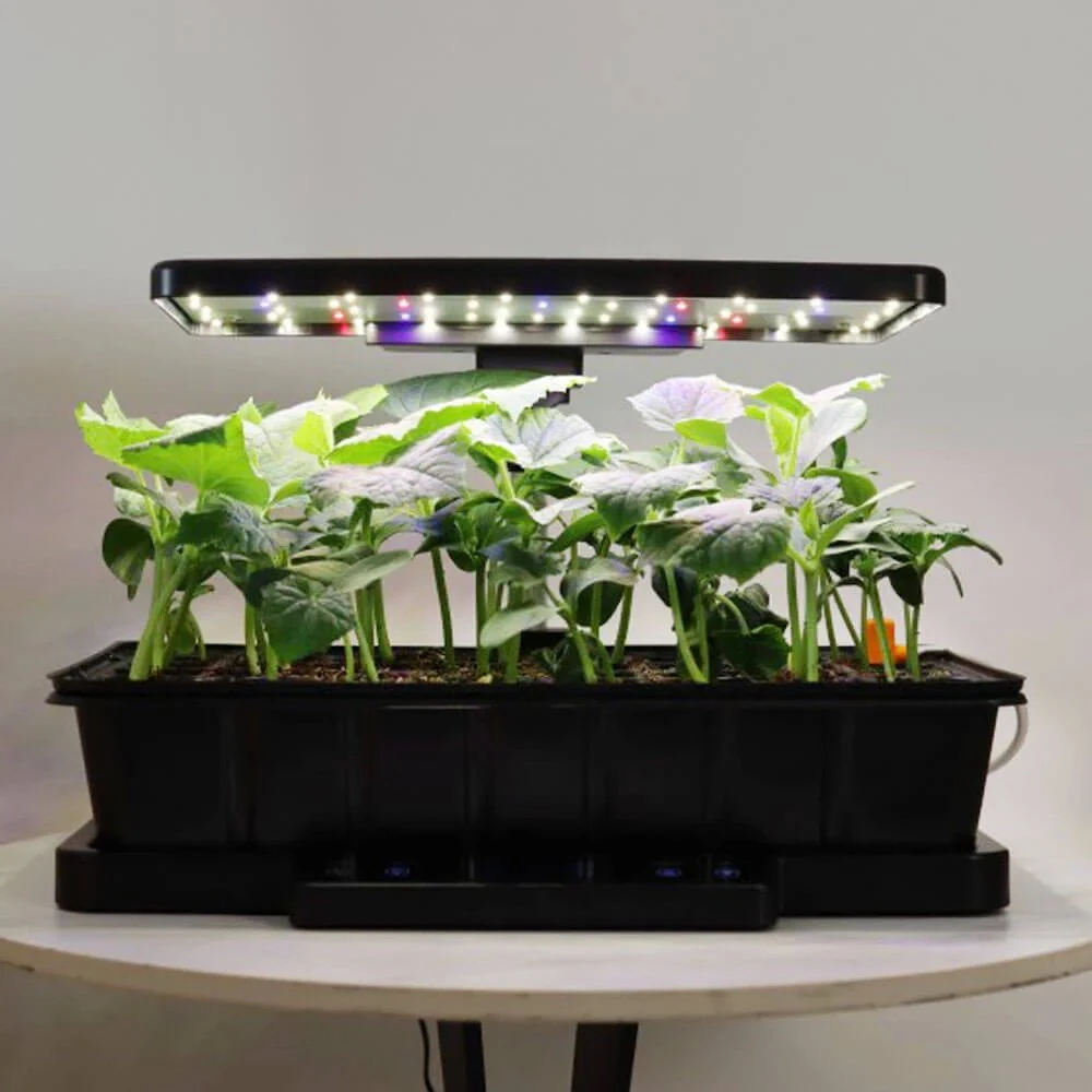 Išmanioji daigykla Let Pot SS-Pro + Dovana