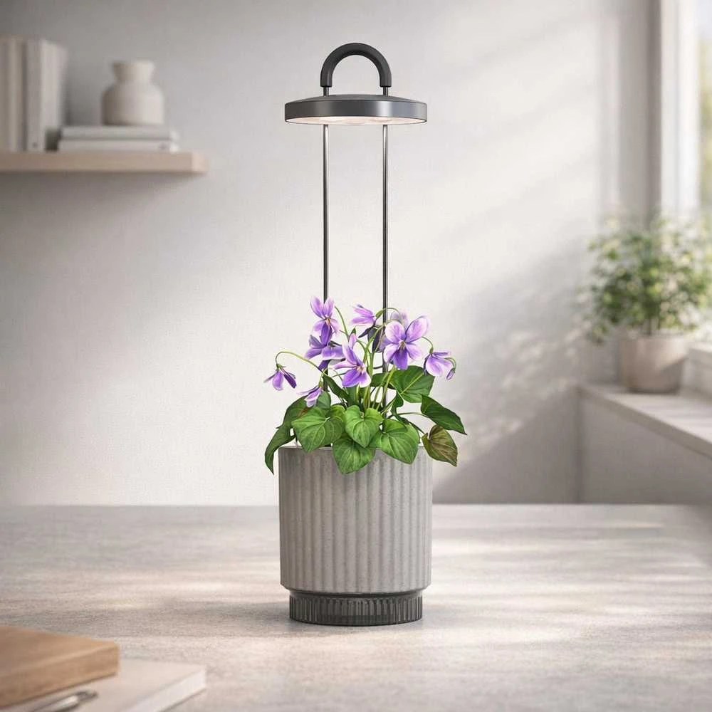 „Click Grow“ „Click and Grow“ – „HydroVase“ – pilka
