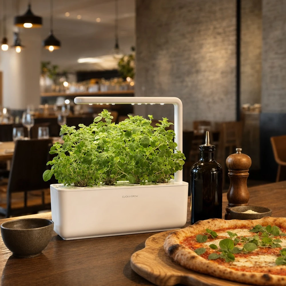 Click and Grow - "Smart Garden" 3 vnt. papildymas - raudonėlio sėklos