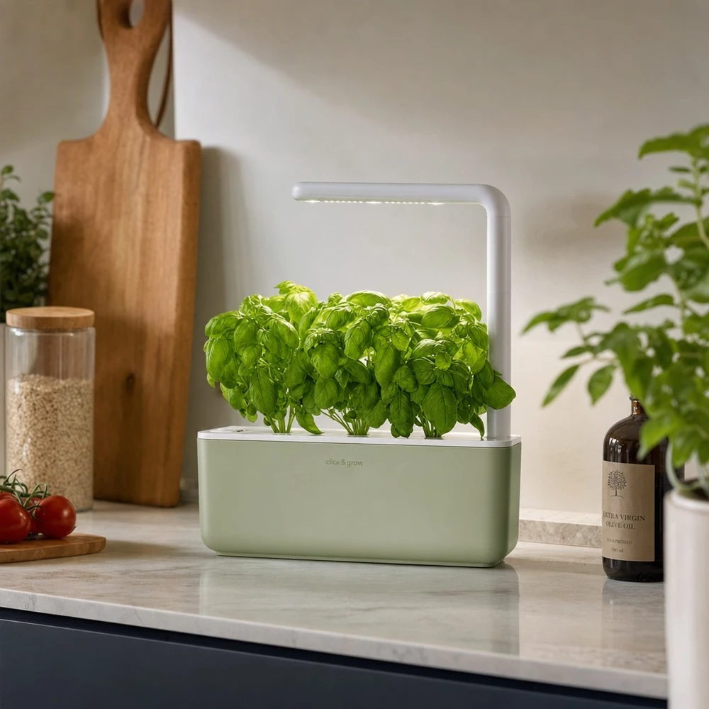 Click Grow „Click and Grow“ – išmaniojo sodo 3 pradinis rinkinys (spalva: šalavijų) (SGS13UNI)