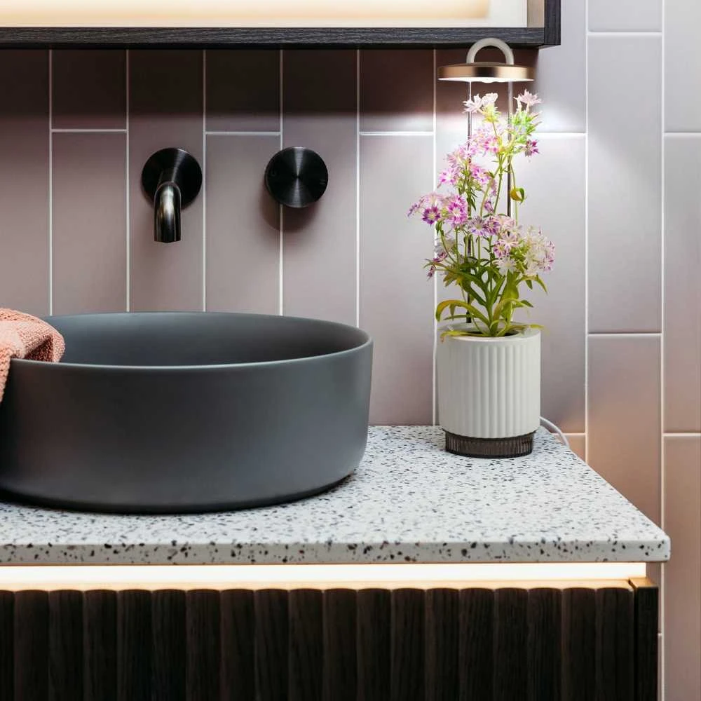 „Click Grow“ „Click and Grow“ – „HydroVase“ – pilka