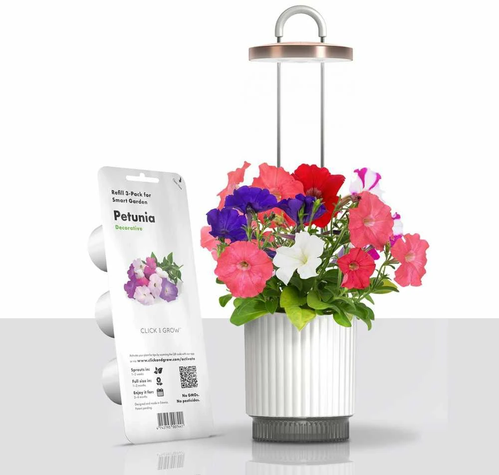 „Click Grow“ „Click and Grow“ – „HydroVase“ – balta