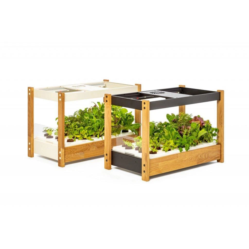 „Click and Grow 25“ – Baltas