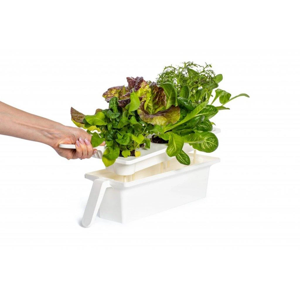 „Click and Grow 25“ – Baltas
