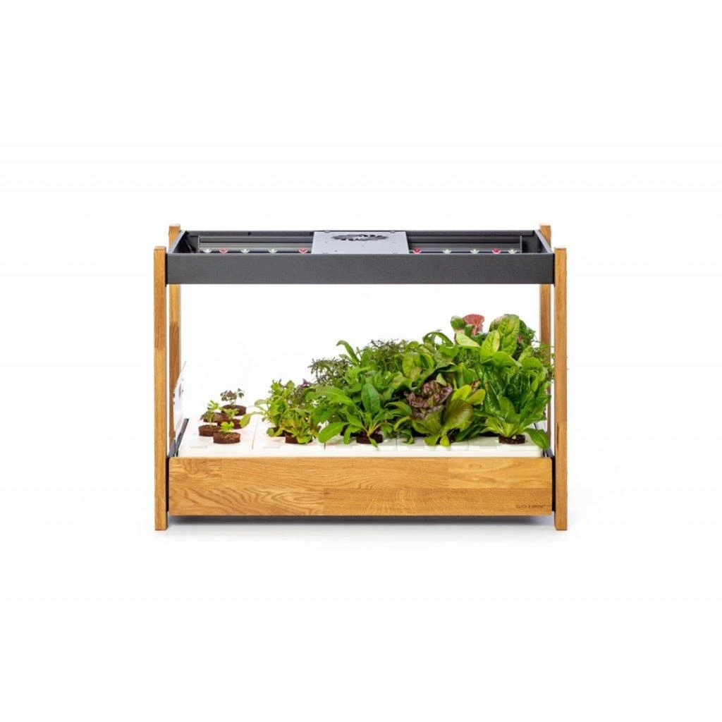 „Click and Grow 25“ – Baltas