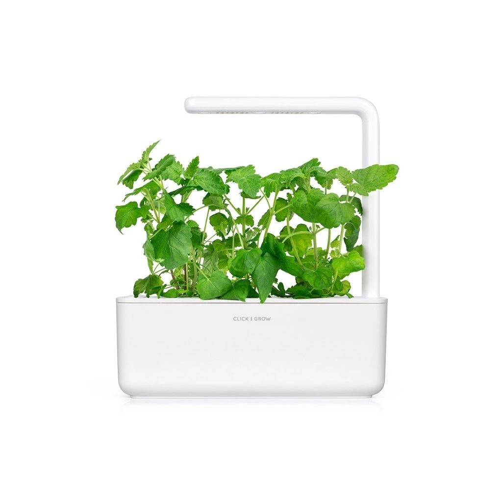 Click & Grow sėklos išmaniajam vazonui - katžolė, 3 vnt.