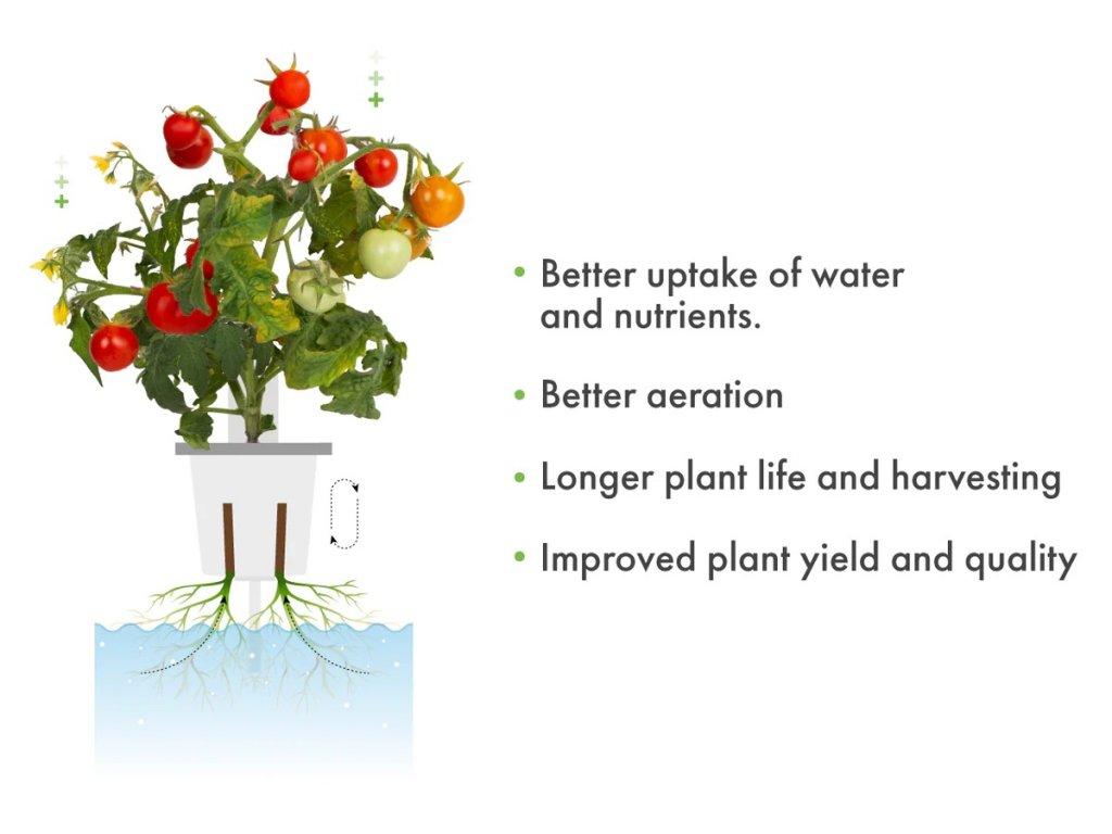 Click and Grow Pro Plant Cups 9 pakuotė
