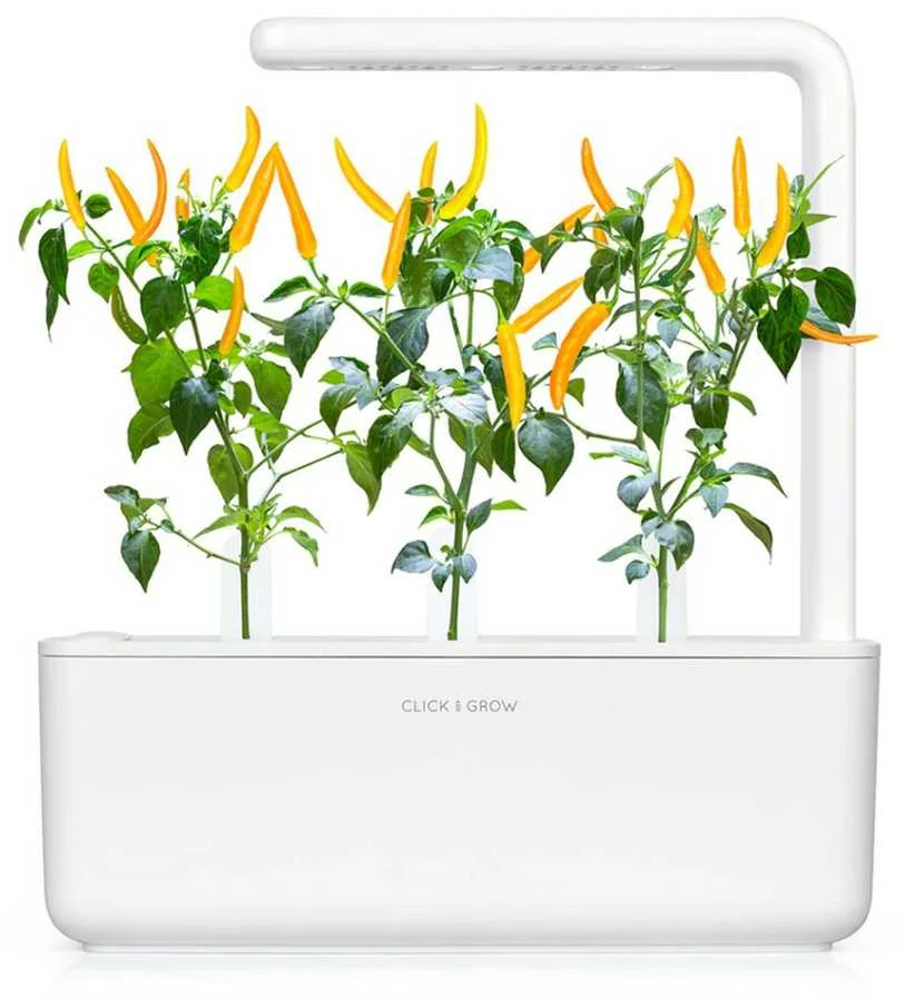 Click & Grow sėklos išmaniajam vazonui - Čili pipirai, 3vnt.