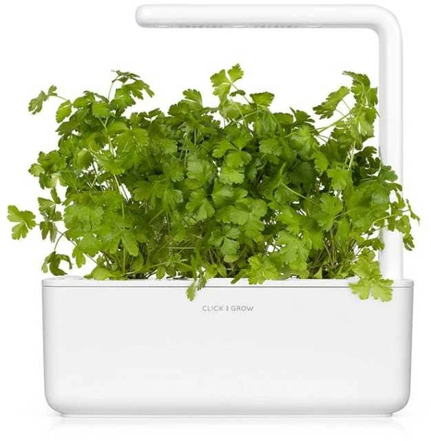 Click and Grow Smart Garden 3 vnt. papildymas - petražolių sėklos