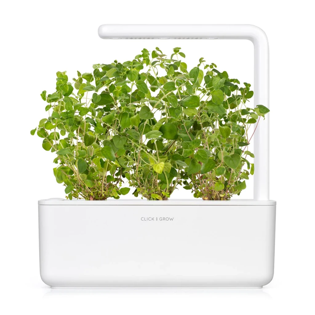 Click and Grow - "Smart Garden" 3 vnt. papildymas - raudonėlio sėklos