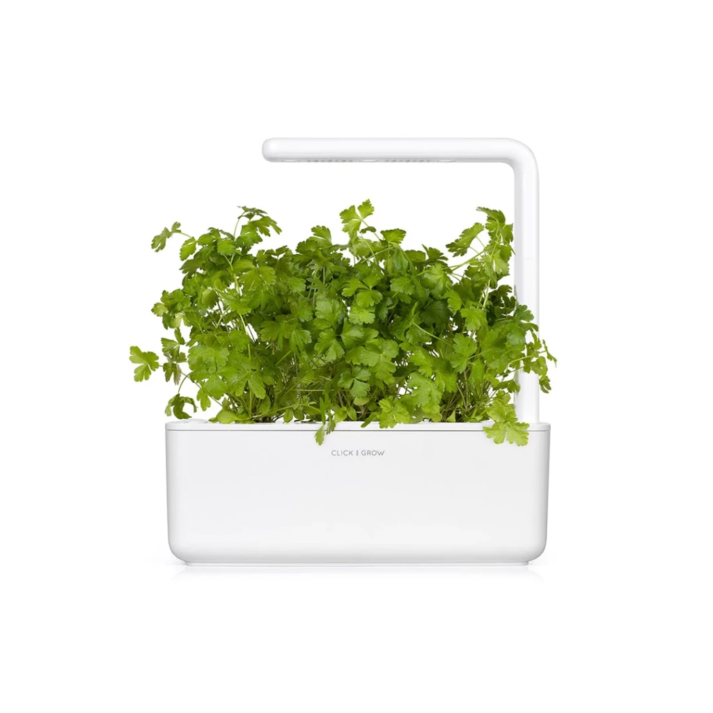 Click and Grow Smart Garden 3 vnt. papildymas - petražolių sėklos