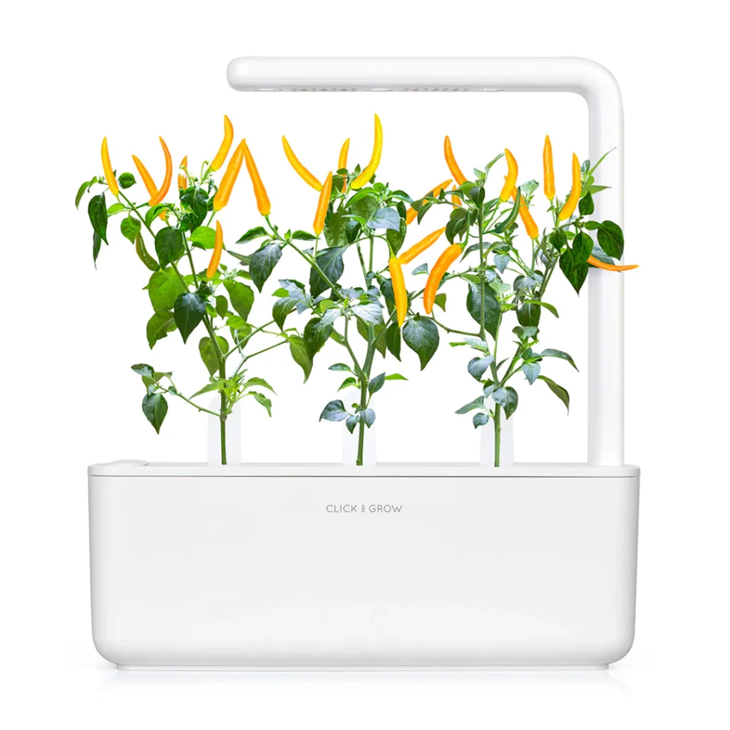 Click & Grow sėklos išmaniajam vazonui - Čili pipirai, 3vnt.