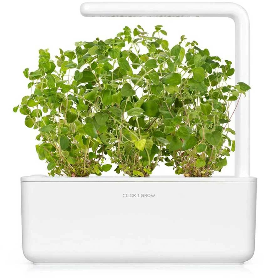 Click and Grow - "Smart Garden" 3 vnt. papildymas - raudonėlio sėklos