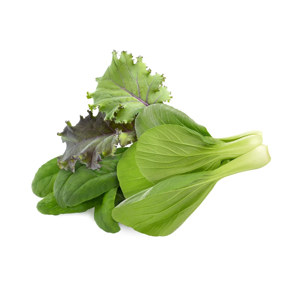 Click & Grow sėklos išmaniajam vazonui - Salotų mišinys, 3vnt.