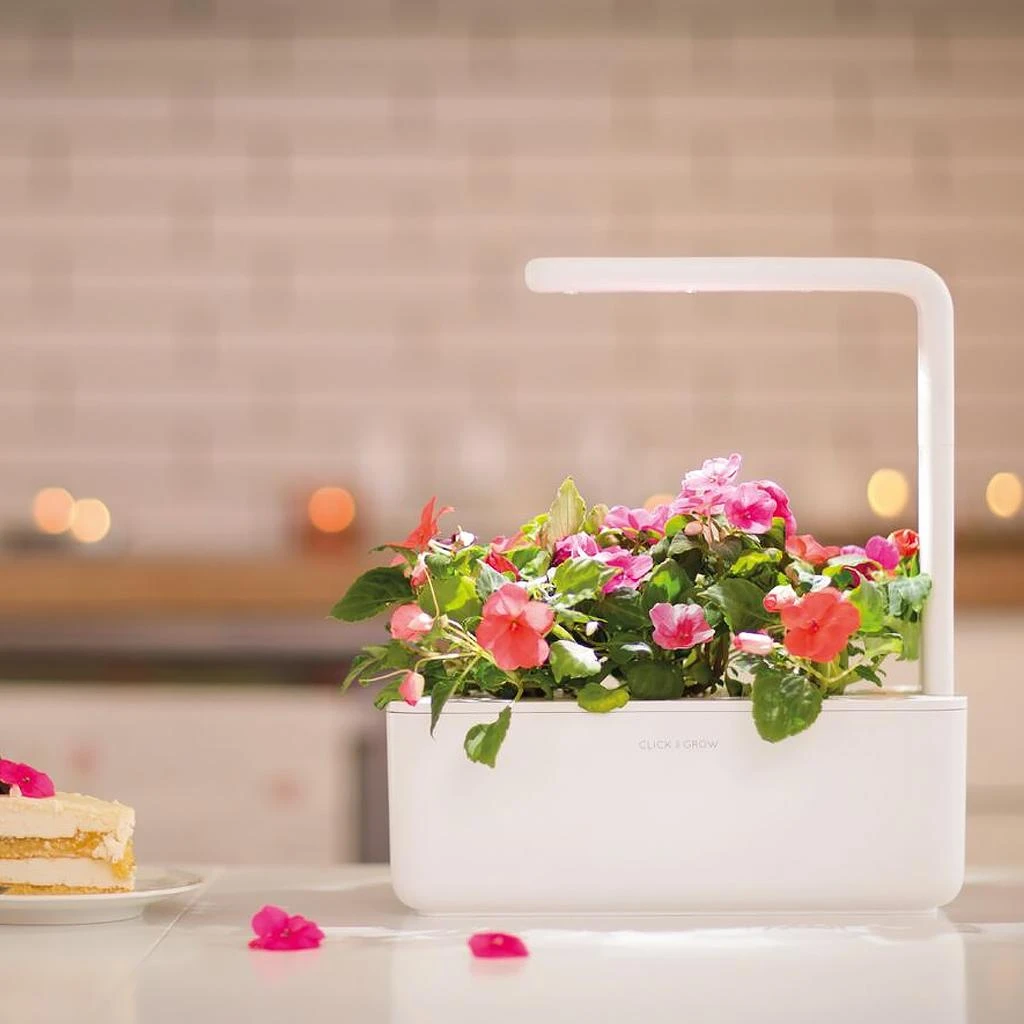 Išmanus namų sodas Click & Grow Smart Indoor Garden 3, baltas