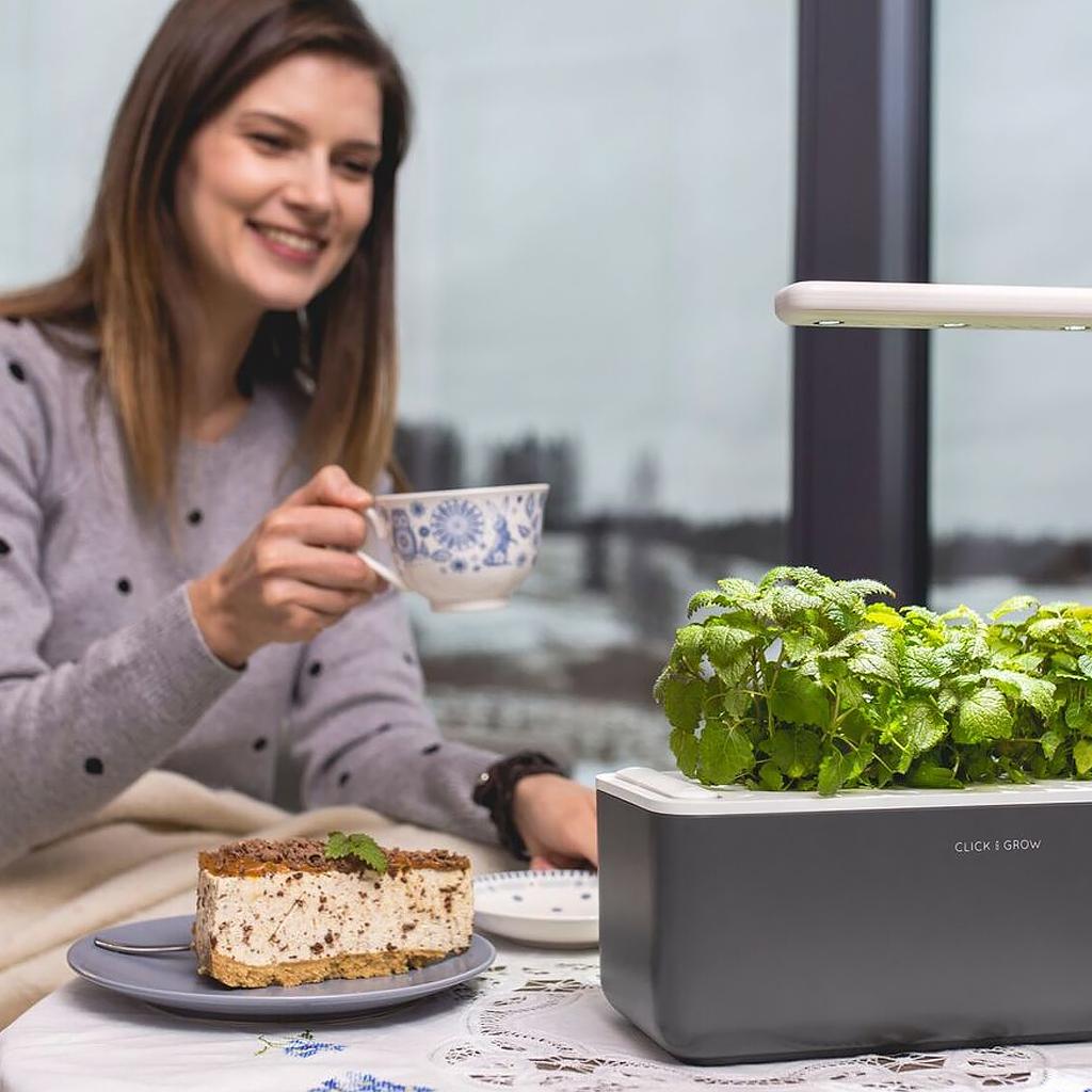 Išmanus namų sodas Click & Grow Smart Indoor Garden 3, pilkas