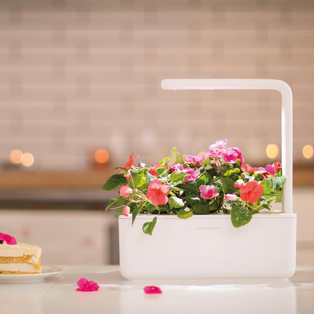 Išmanus namų sodas Click & Grow Smart Indoor Garden 3, pilkas
