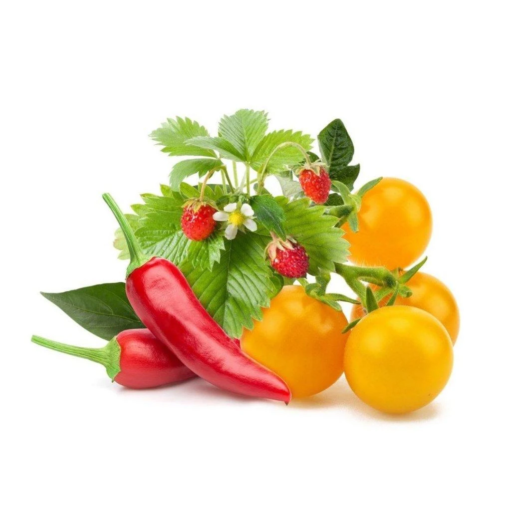 Click&Grow Vaisių ir daržovių mišinys 9 vnt.