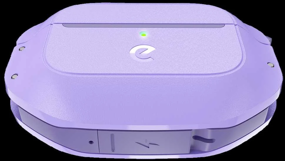 KeyBudz Element Series skirta AirPods Pro 2 - Wild lavender