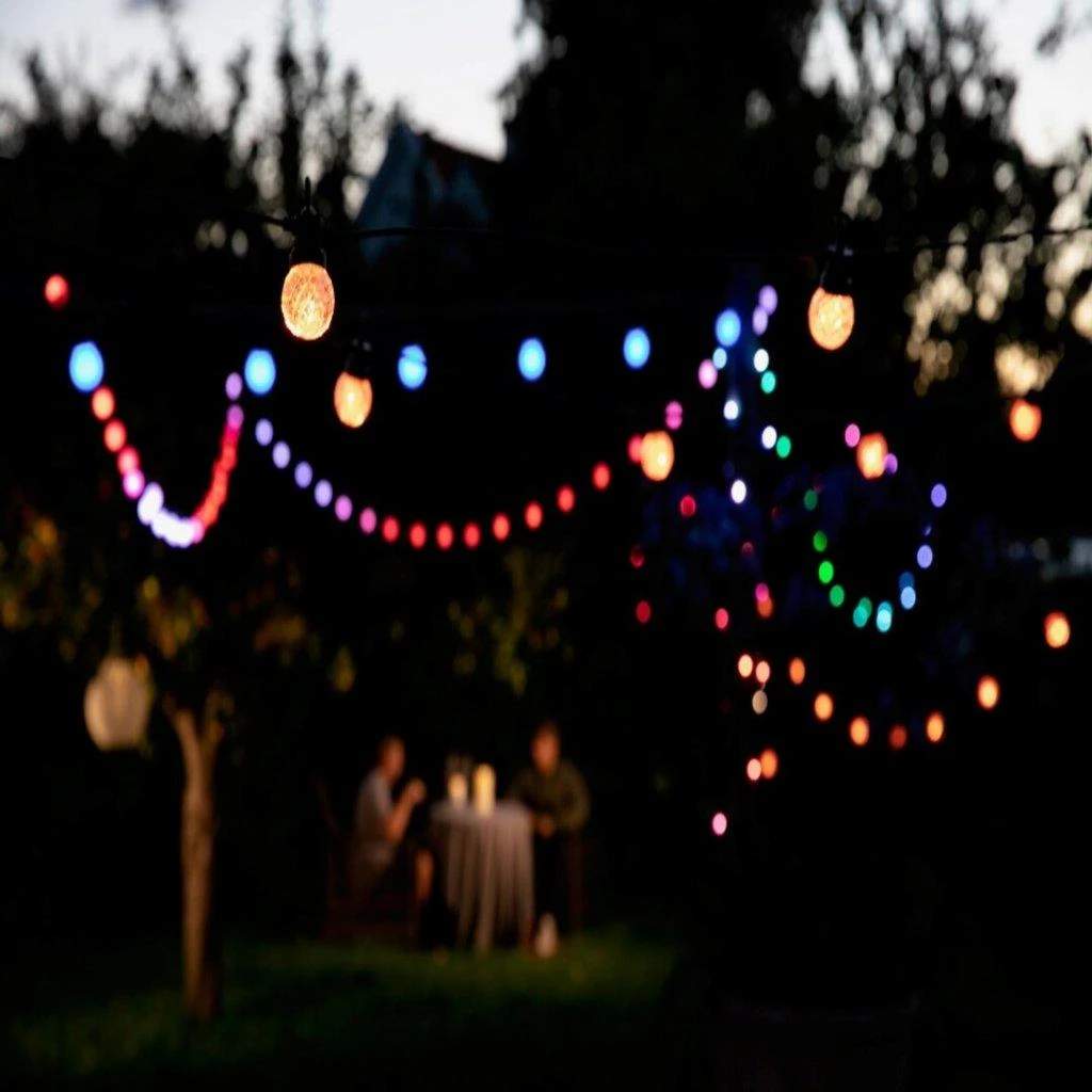 Lite bulb moments Smart Light Chain - Globe Facets