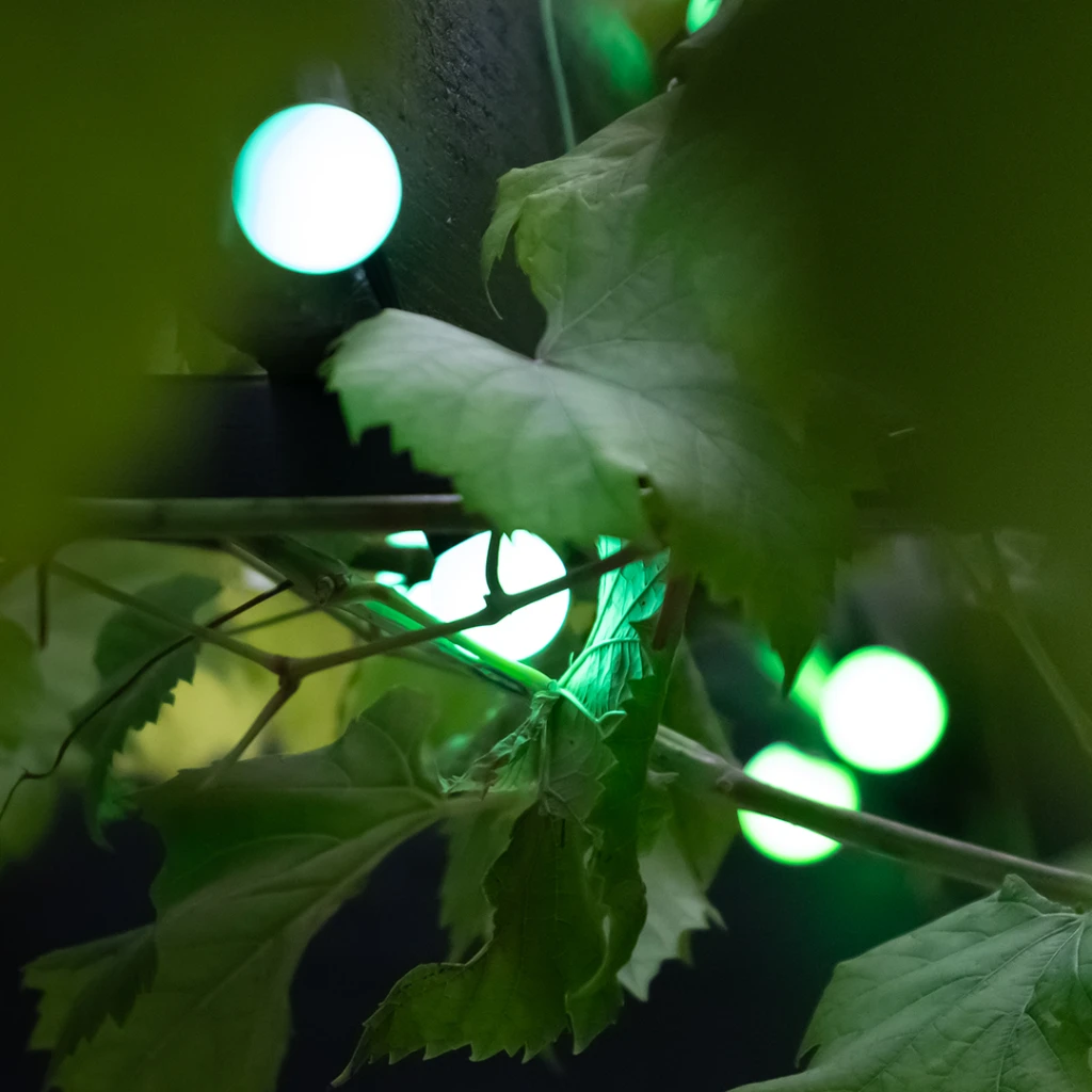Lite Bulb Moments LBM 10 m išmanioji lauko šviesos grandinė – 50 x gaublys 3 cm