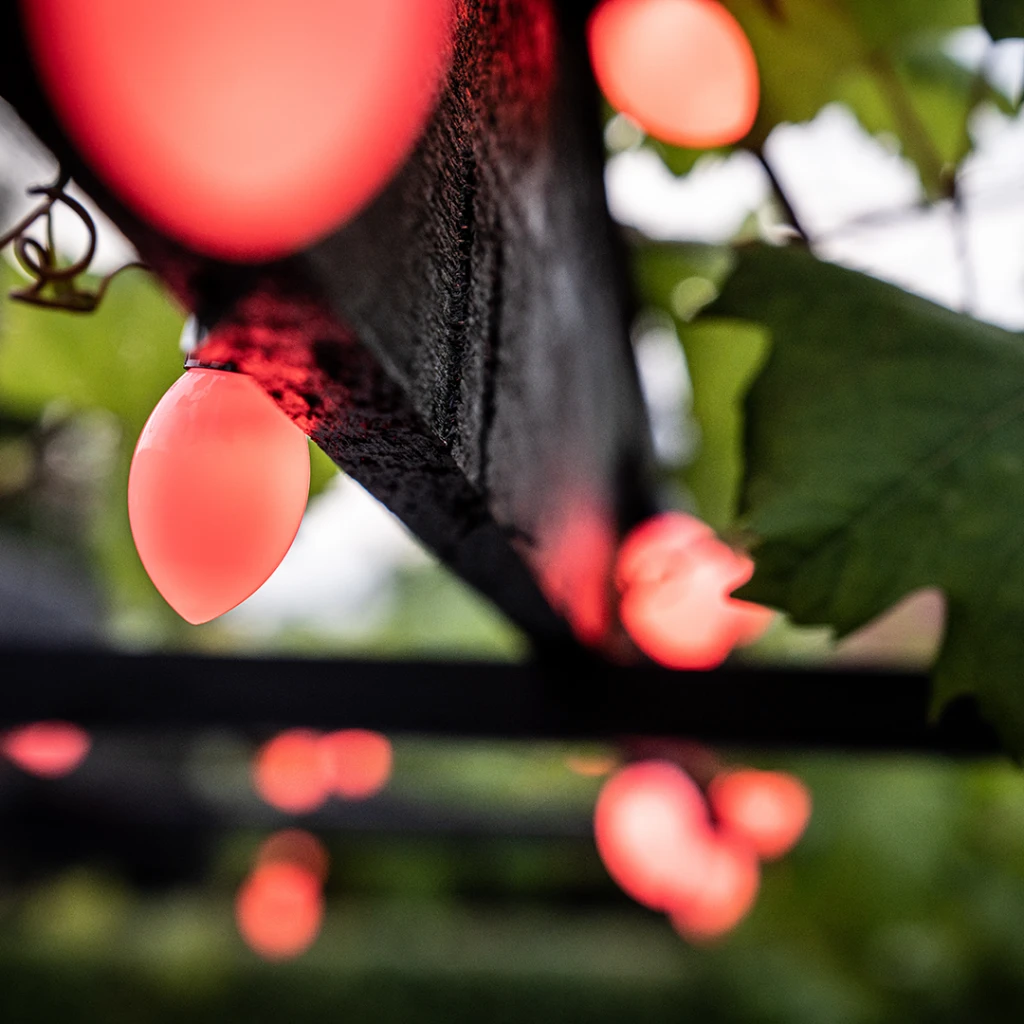 Lite bulb moments Smart Light Chain - Globe Cone