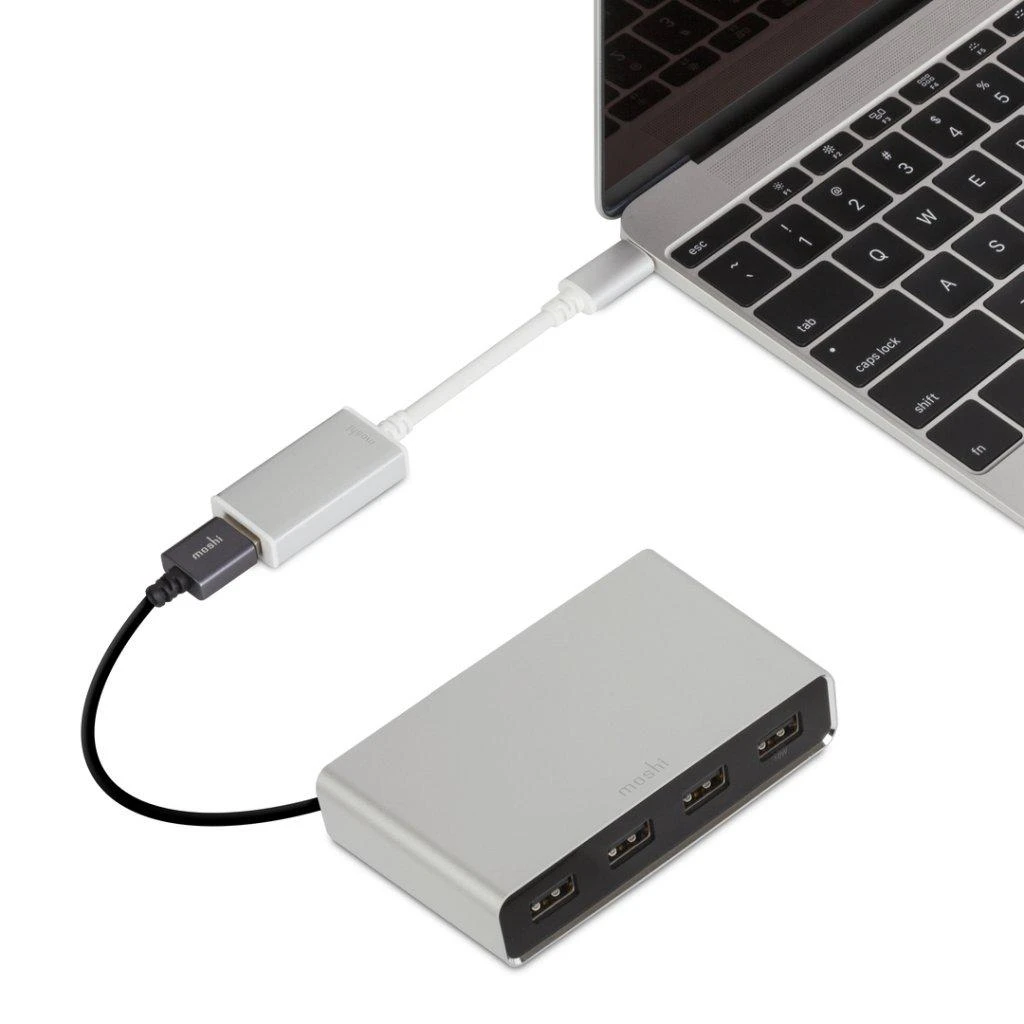 Adapteris USB Moshi USB-A - USB-C Sidabrinė (MI-USBC)