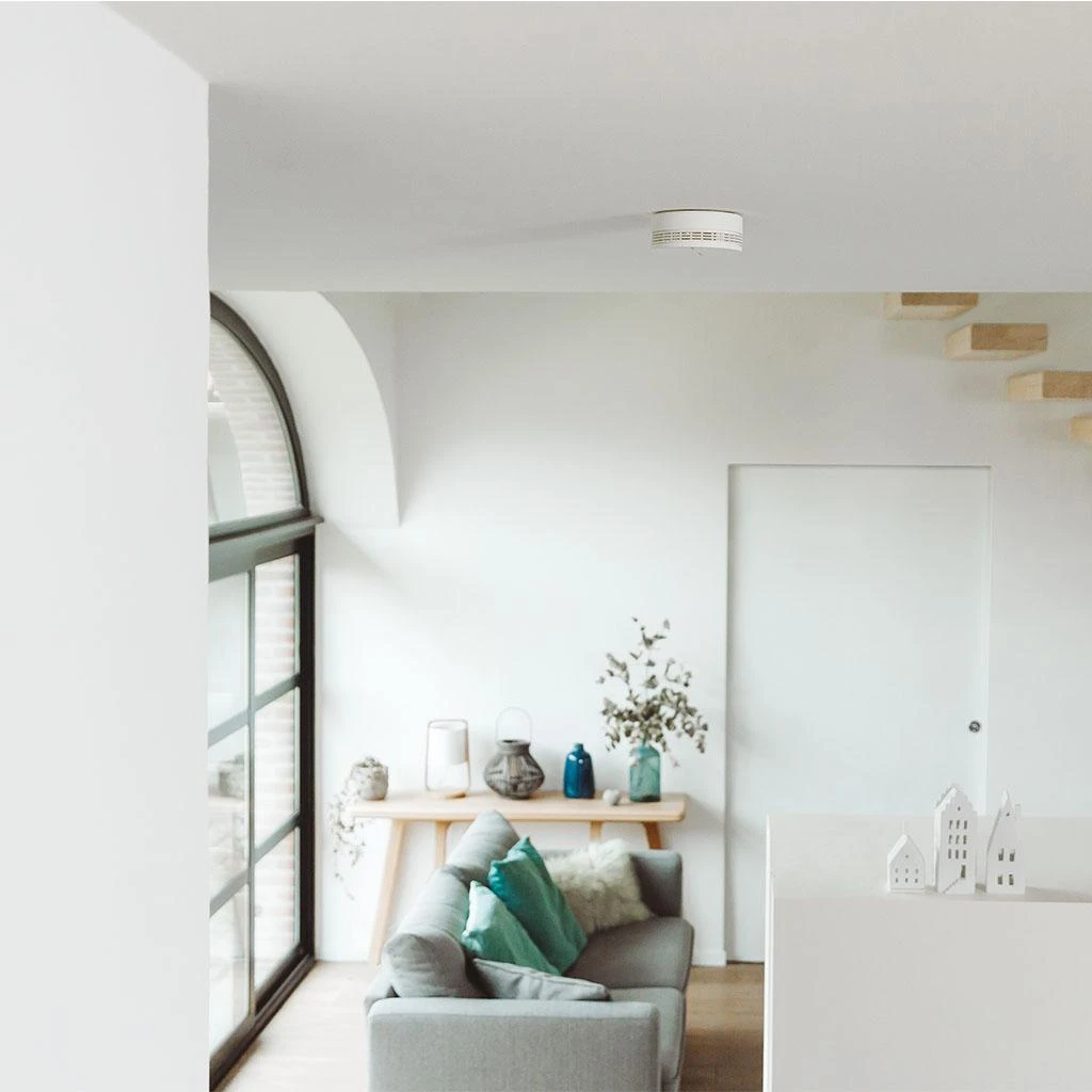 Netatmo Dūmų signalizacija
