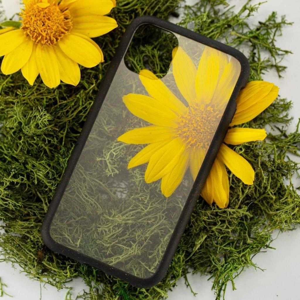 Pela Clear – ekologiškas iPhone 11 dėklas – žalias