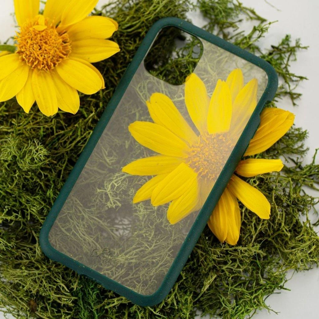 Pela Clear – ekologiškas iPhone 11 dėklas – žalias
