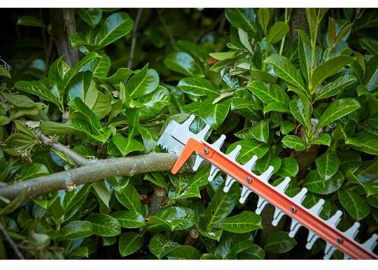 Black & Decker Juodas & Decker Akumuliatorinė gyvatvorių žirklės 55 cm, 36 V, Power Command, Juodas & Decker [BCHTS3625L1-QW] 2,5Ah