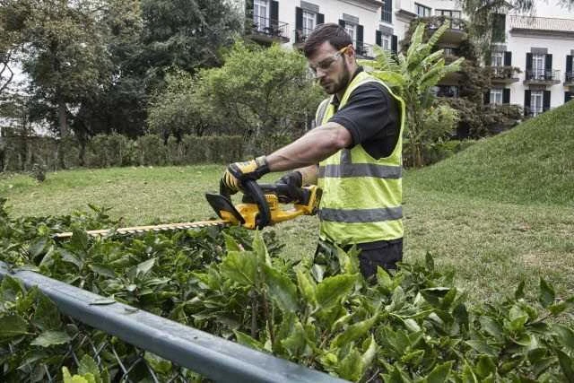 Akumuliatorinės gyvatvorių žirklės Dewalt DCM563P1