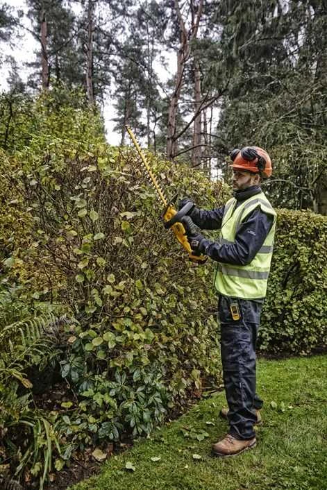 Akumuliatorinės gyvatvorių žirklės Dewalt 5035048728840