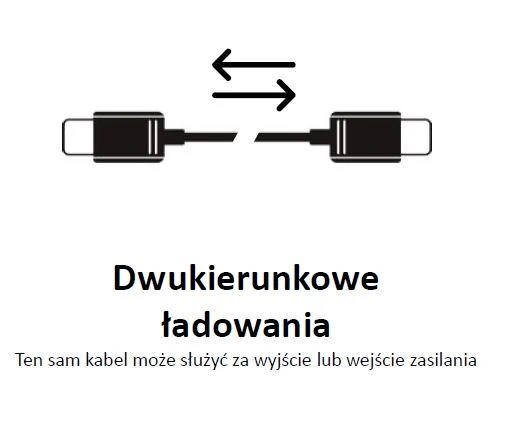 Pakrovėjas DeWalt DCB094K; 18 V