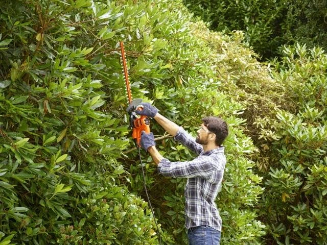 Black & Decker BD GYVONŲ ŽIRKLĖS 450W / 50cm / 18mm