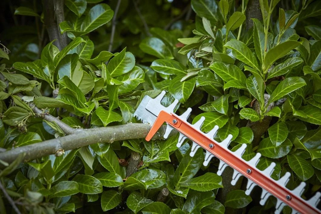 Black & Decker BD GYVONŲ ŽIRKLĖS 650W / 60cm / 25mm
