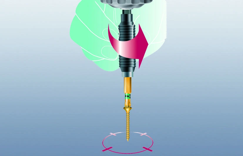 Grąžtas magnetinis adapteris 1/4" Rapidator antgaliams, 75 mm, Wera [05052503001]