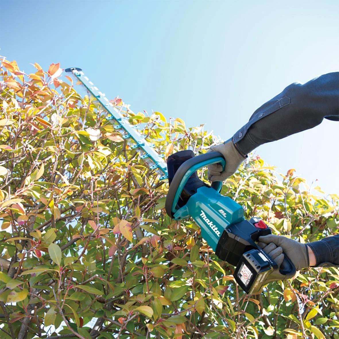 Makita DUH601Z Cordless hedge trimmer, 18V Li-ion, BL-motor, 600mm , be akumuliatoriaus ir kroviklio