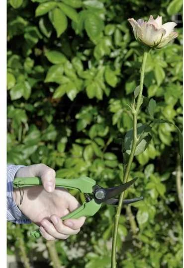 floristinės žirklės, pjovimo skersmuo 10mm, Bahco [P123-Žalias-B6] žalia rankenos