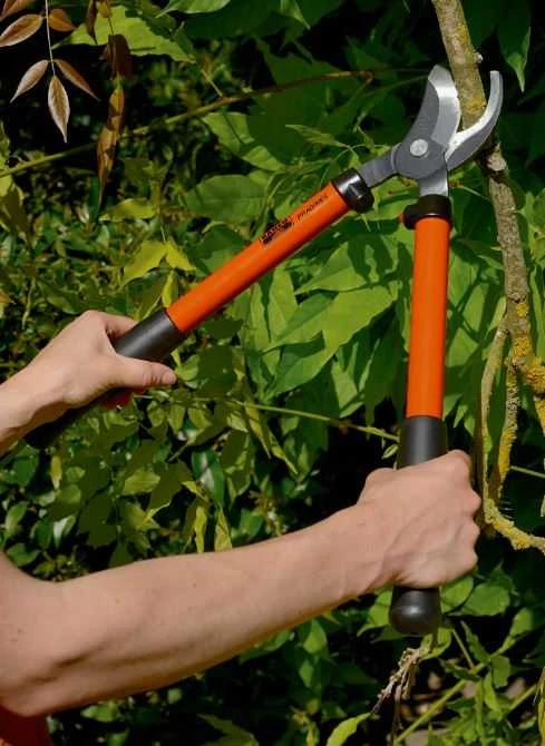 Bahco TRADITION serijos profesionalios šakų žirklės prasilenkiančiais ašmenimis. Guminiai amortizatoriai.L 450 mm. Kerpa iki 40 mm šakas. Yra keičiamų dalių