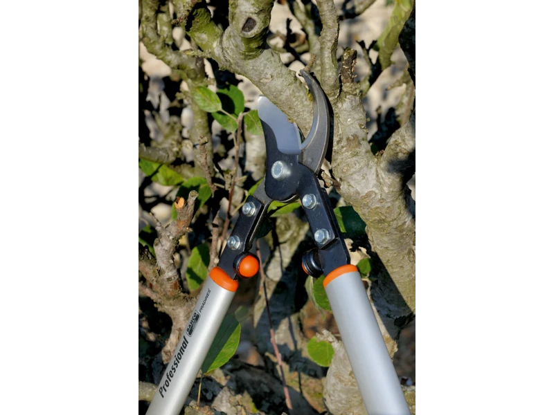 BAHCO Vaismedžių sodo žirklės, 900 mm, P160-SL-90